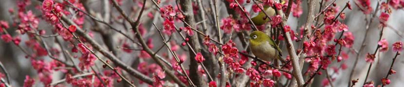 当会は「明朗、愛和、喜働」の実践をして、純情（すなお）になることを目指します。
